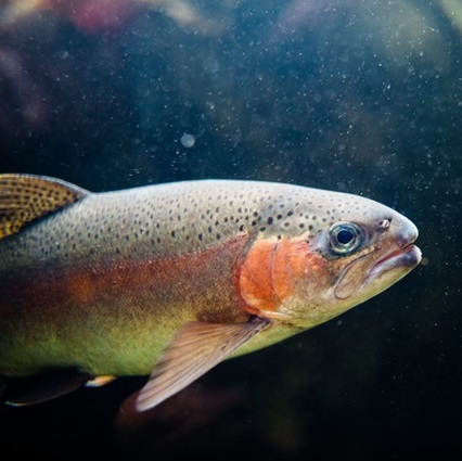 Laden Büro Betrieb Fertigung Messe ... Planung
--------------------------------------------------------------
EINRICHTUNG MIT AUSSTATTUNG UND SERVICE
--------------------------------------------------------------
Lösungsvorschläge oder Newsletter anfordern buero@manfredmoeginger.de 0 851 . 966 179 83