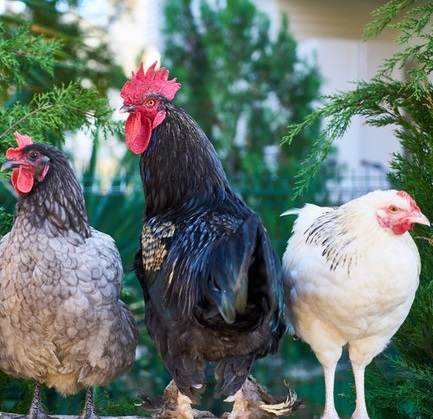 Projektentwicklung Visualisierung Planung
Objektsuche und Kauf Miet Pacht Vermittlung ...
--------------------------------------------------------------
IMMOBILIENGESTALTUNG IMMOBILIENSERVICE
--------------------------------------------------------------
Beratung Mehr Infos oder Newsletter erhalten buero@manfredmoeginger.de 0 851 . 966 179 83