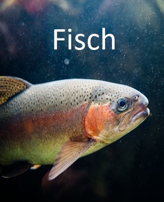 Laden Büro Betrieb Fertigung Messe ... Planung
--------------------------------------------------------------
EINRICHTUNG MIT AUSSTATTUNG UND SERVICE
--------------------------------------------------------------
Lösungsvorschläge oder Newsletter anfordern buero@manfredmoeginger.de 0 851 . 966 179 83