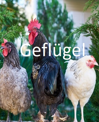 Projektentwicklung Visualisierung Planung
Objektsuche und Kauf Miet Pacht Vermittlung ...
--------------------------------------------------------------
IMMOBILIENGESTALTUNG IMMOBILIENSERVICE
--------------------------------------------------------------
Beratung Mehr Infos oder Newsletter erhalten buero@manfredmoeginger.de 0 851 . 966 179 83