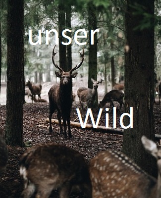 Wild... Geflügel... Lamm... Fisch... Pastete... Schinken... Fleisch... Wurst... Fond... Brühe... Soße... Dipp... Nudel... Käse... Obst... Gemüse... Gewürze... Kräuter... Essig... Öl... Kaffee... Tee... Saft... Bier... Wein... Schnaps... Sekt... &&& GENUSSERLEBNIS
SPEZIALITÄTEN IN 100% REIN NATURBELASSEN
-------------------------------------------------------------- 
FOODHUNTING - TAGESFRISCHE - FLUGWARE WELTWEIT - JUST IN TIME - VOR ORT SERVICE EINZEL-GROßHANDEL CATERING WORKSHOPS
--------------------------------------------------------------
Produktliste Angebot einholen oder Newsletter buero@manfredmoeginger.de 0 851 . 966 179 83